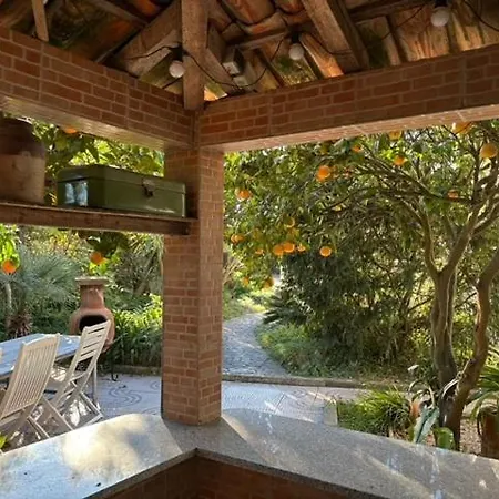 Apartment Casa Flores Leiria Silvercoast Portugal