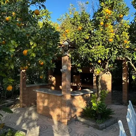 Casa Flores Leiria Silvercoast Portugal Apartment Monte Redondo