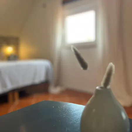 Casa Flores Apartment