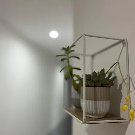 Casa Flores *