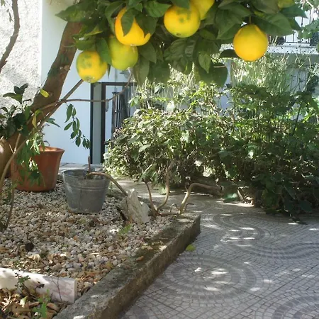 Casa Flores Leiria Silvercoast Portugal Apartment