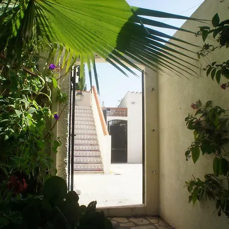 Casa Flores Leiria Silvercoast Portugal Apartment
