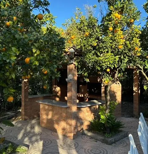 Casa Flores Leiria Silvercoast Portugal Lägenhet Monte Redondo