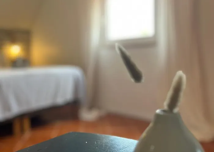 Casa Flores Leiria Silvercoast Portugal Appartement