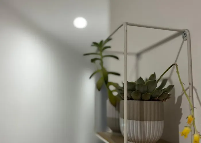 Casa Flores Leiria Silvercoast Portugal *