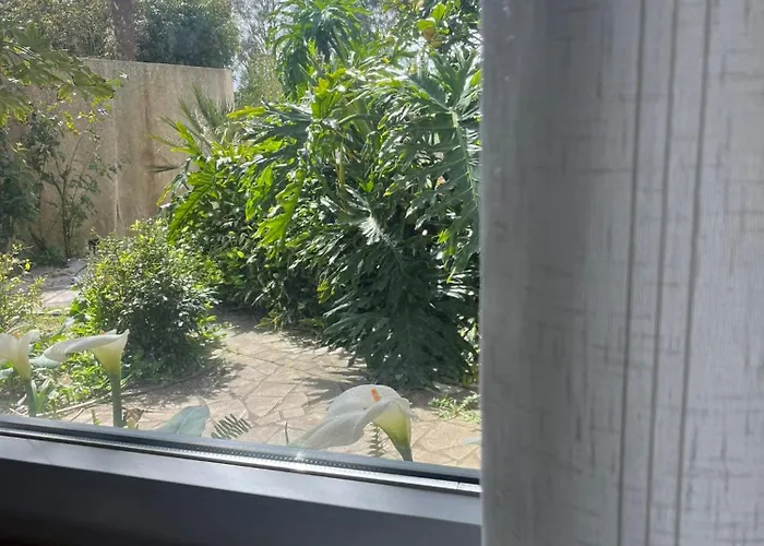 Casa Flores Leiria Silvercoast Portugal Appartement