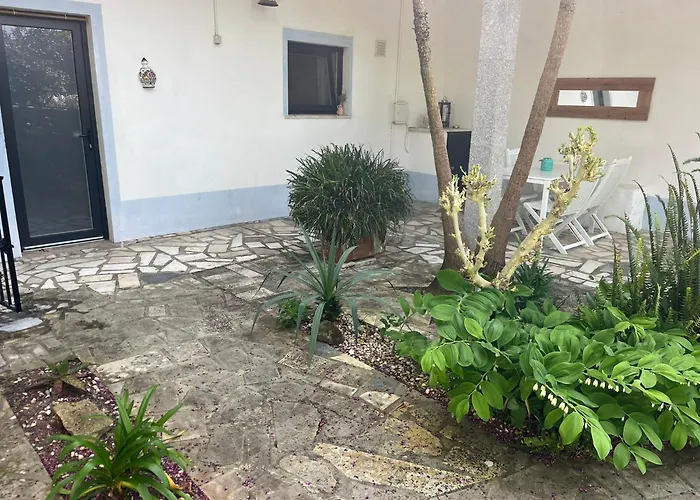 Casa Flores Leiria Silvercoast Portugal Lägenhet Monte Redondo